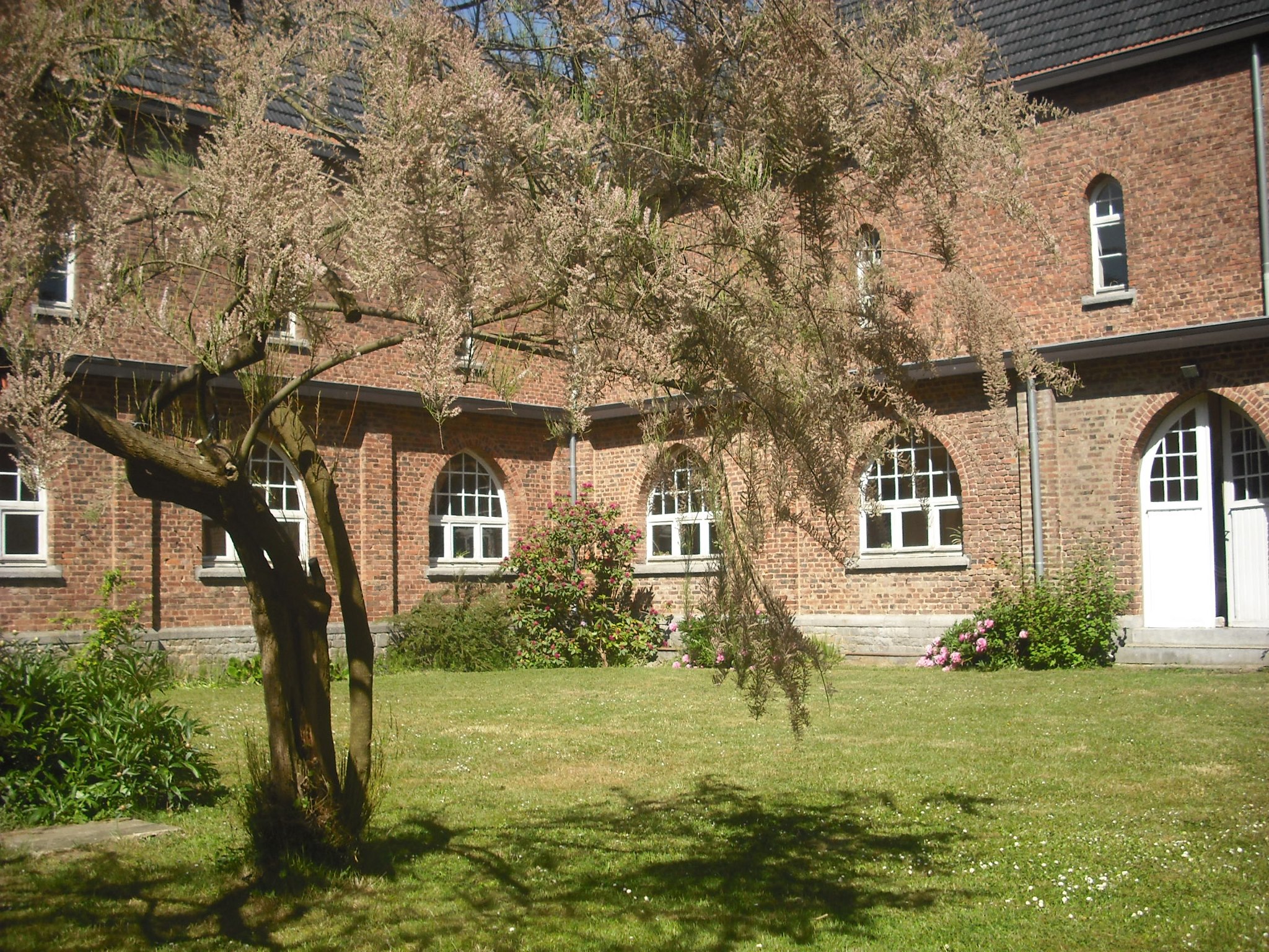 Jardin du Cloître